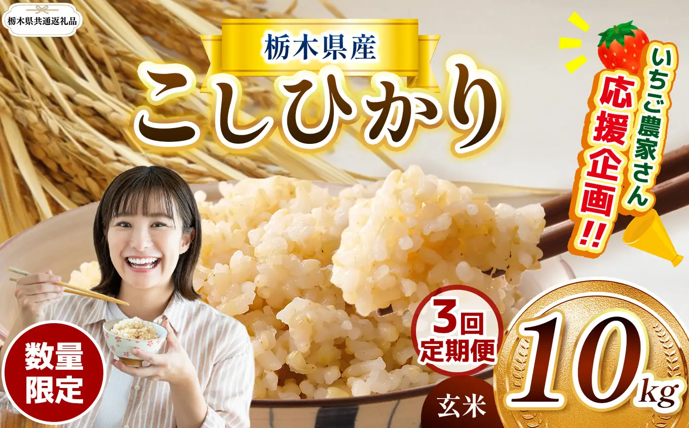 【定期３回】【先行予約】【令和8年度産】 栃木県産コシヒカリ 10kg | 【栃木県共通返礼品】