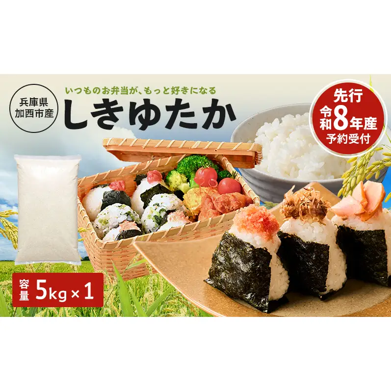 しきゆたか 令和8年産 白米 単一原料米 しきゆたか【5kg】【先行受付】