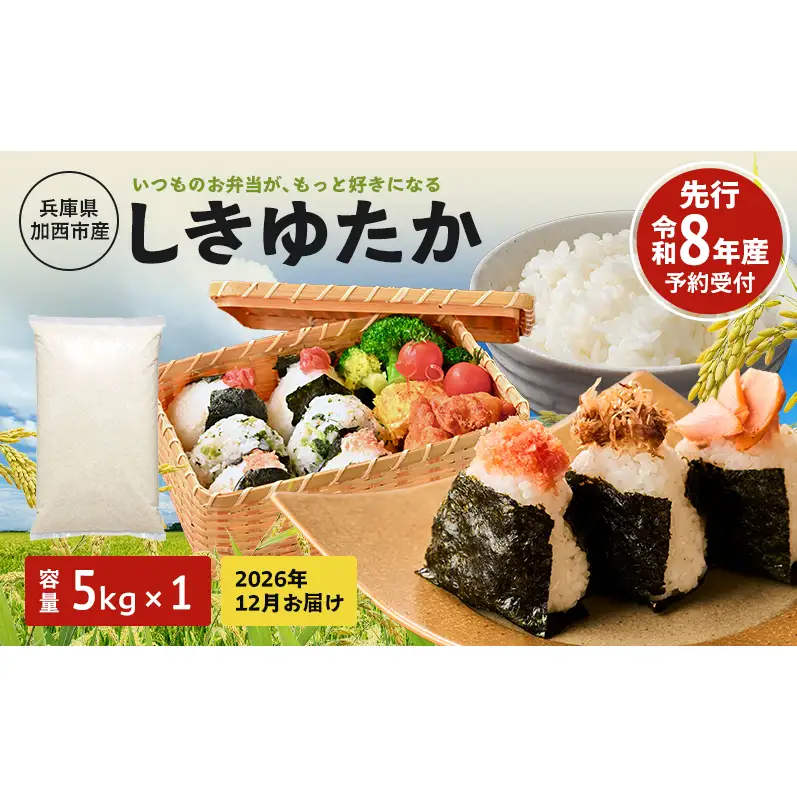 しきゆたか 令和8年産 白米 単一原料米 しきゆたか【5kg】【2026年12月発送】