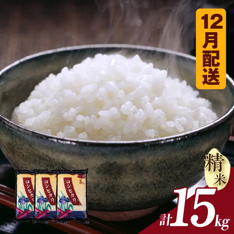 【令和８年産 先行予約】コシヒカリ（精米）15kg（12月発送）（3574）