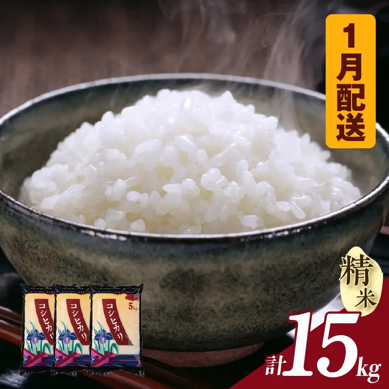 【令和８年産 先行予約】コシヒカリ（精米）15kg（１月発送）（3575）