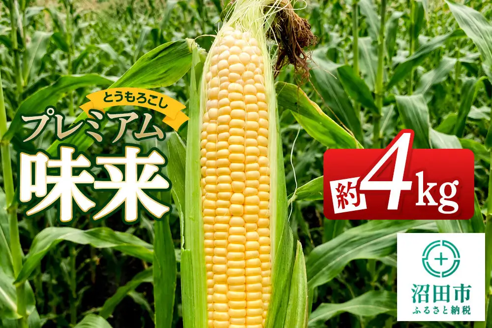 《7月下旬～9月上旬発送》とうもろこし プレミアム味来 約4kg（8～12本）山口いちご園