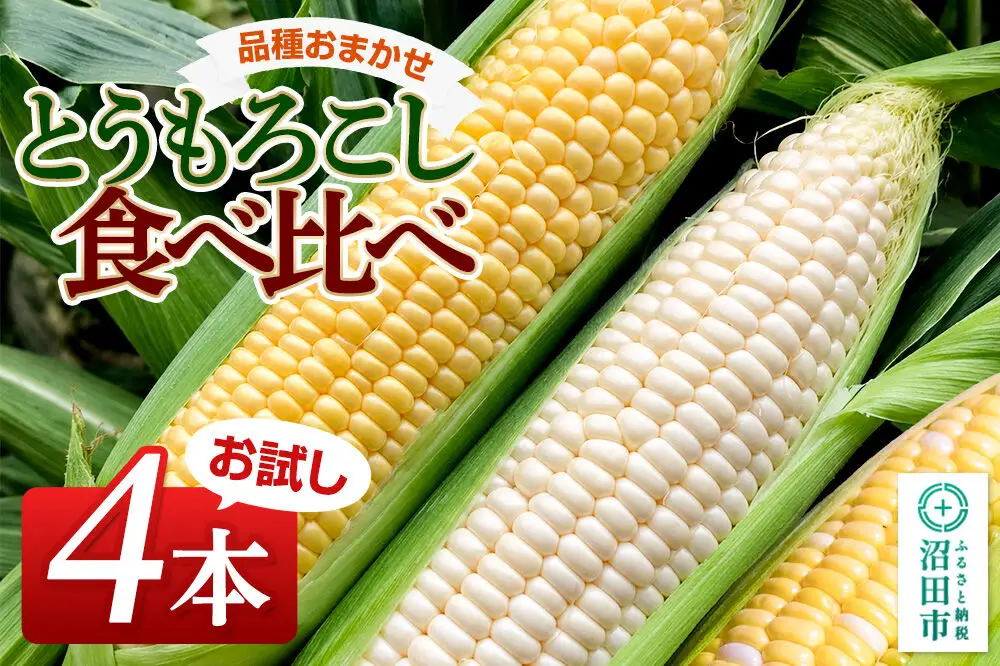 《7月下旬～9月上旬発送》とうもろこし食べ比べ お試し4本セット 山口いちご園