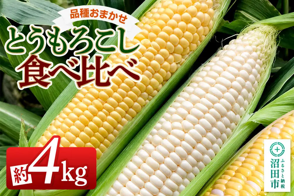 《7月下旬～9月上旬発送》とうもろこし食べ比べ 約4kg（8～12本）詰め合わせセット 山口いちご園