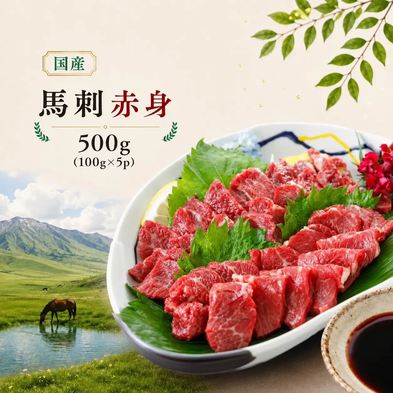 馬刺し 国産 赤身 500g（100g×5p） 馬刺しの長野屋【012-85】