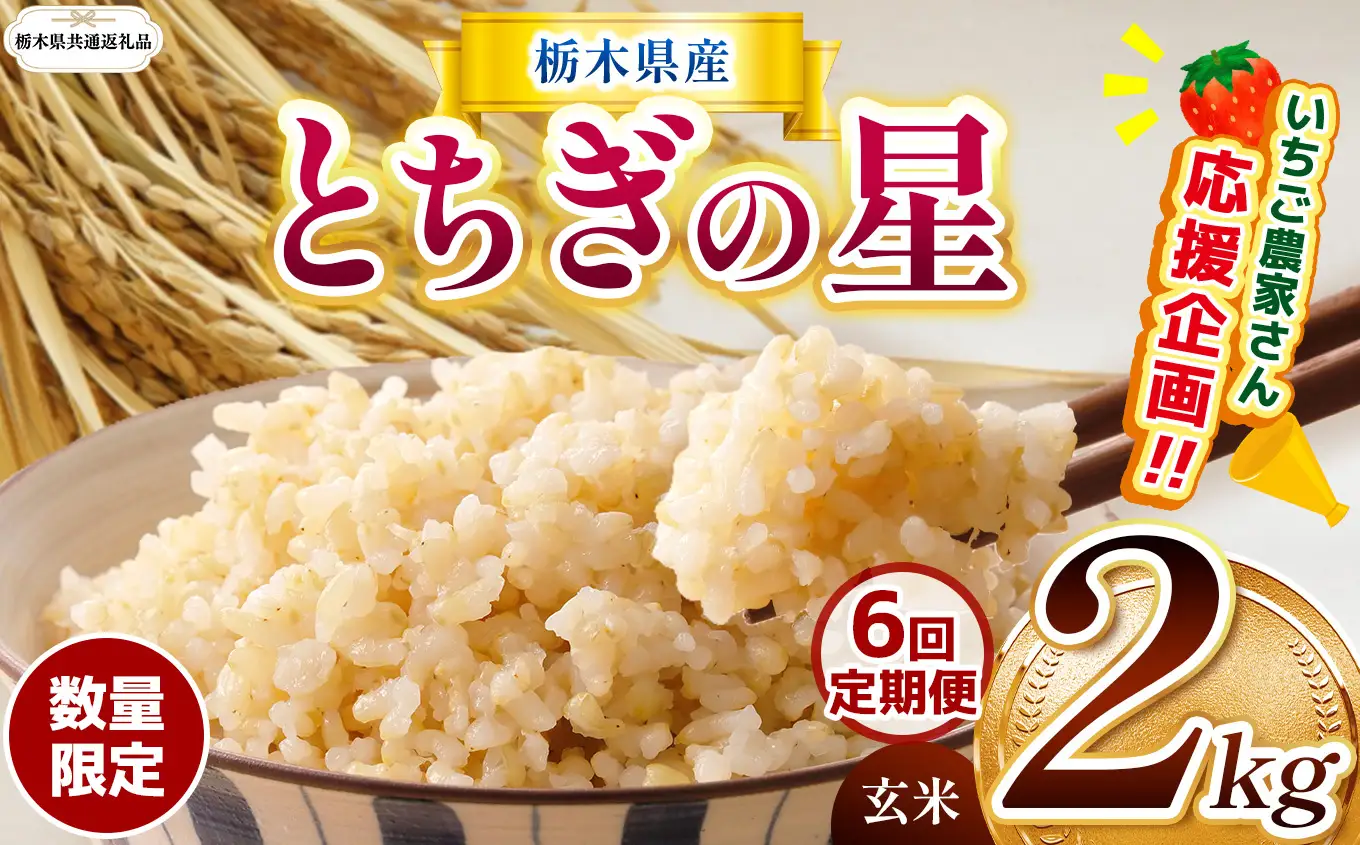 【定期６回】先行予約【令和8年度産】栃木県産とちぎの星 2kg | 【栃木県共通返礼品】 