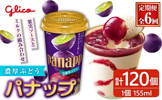 パナップ  計120個 6ヶ月定期便 グリコ スイーツ 【アイス】【ho1716】