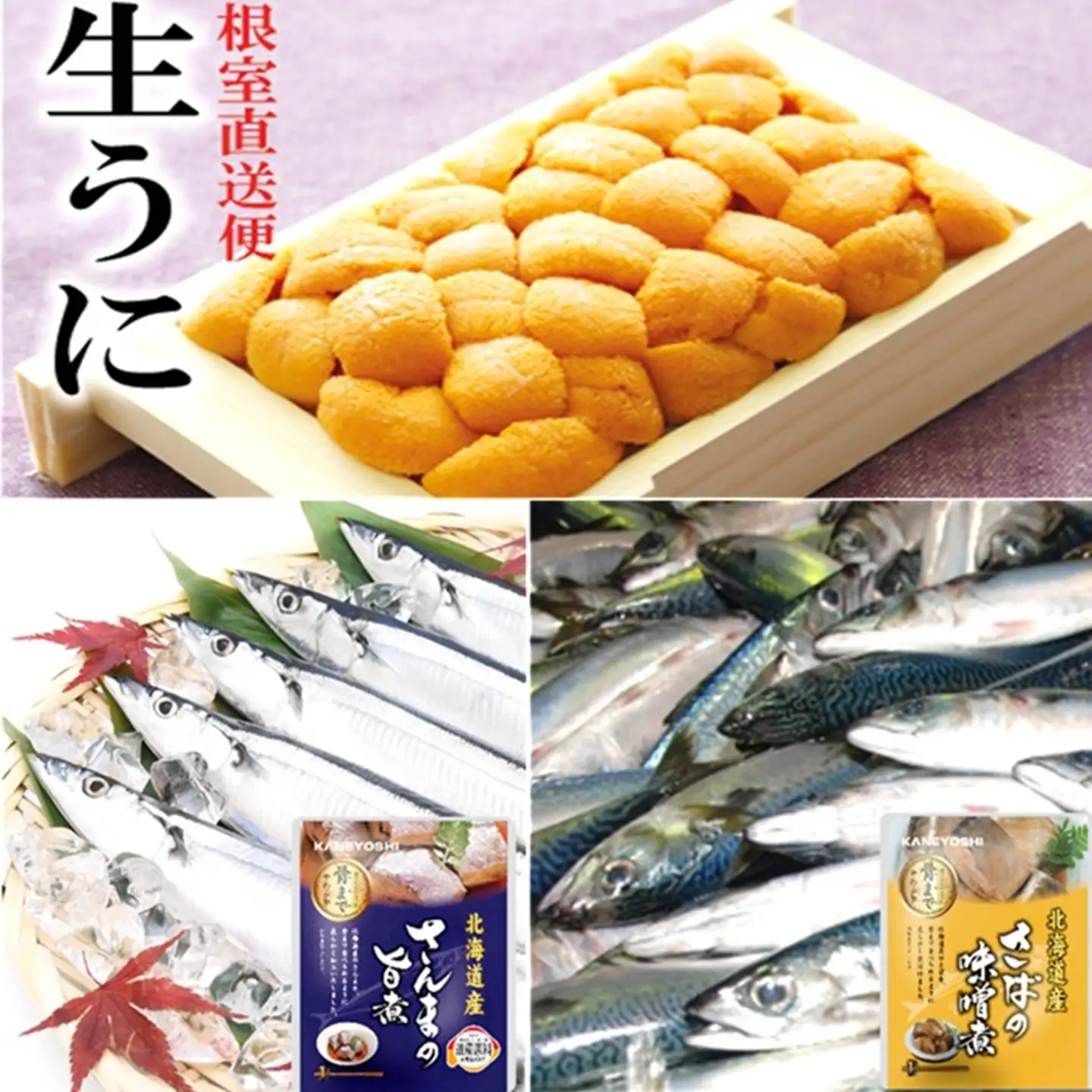 エゾバフンウニ約60g～70g×1折・さんま旨煮×1P・さば味噌煮×1P[10月中旬以降発送] A-40020