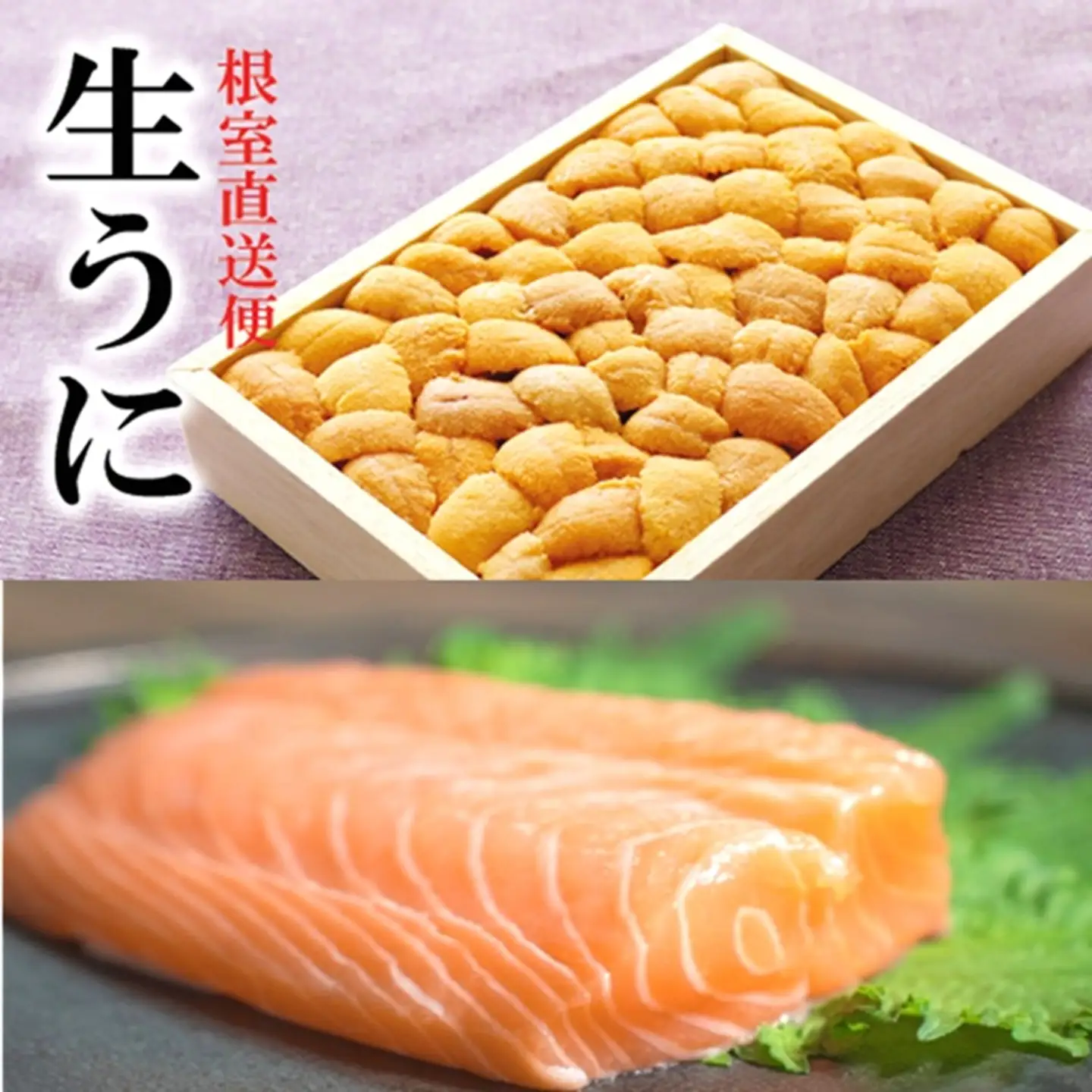 エゾバフンウニバラ150g×1折、お刺身サーモン300g～500g(1～3本)[11月下旬以降発送] E-40030