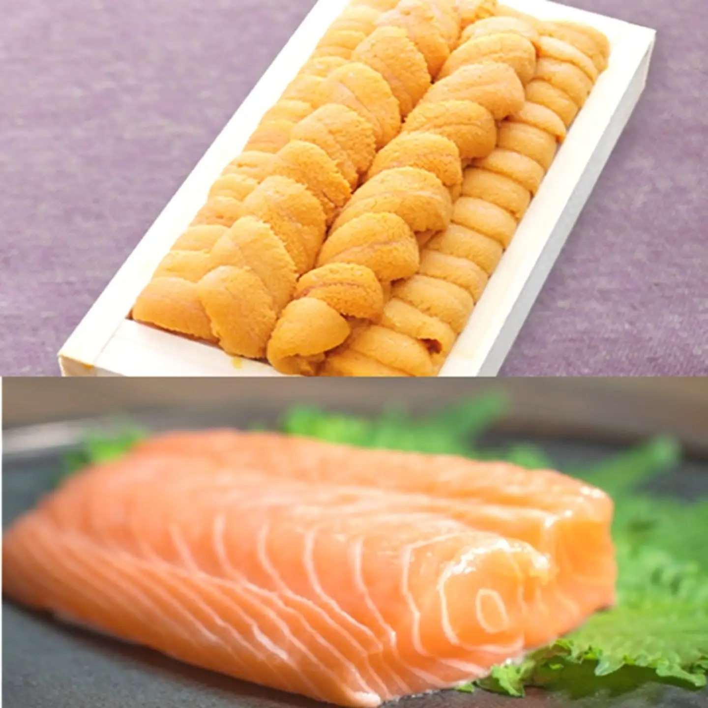 エゾバフンウニ140g×1折、お刺身サーモン300g～500g(1～3本)[11月下旬以降発送] E-40031