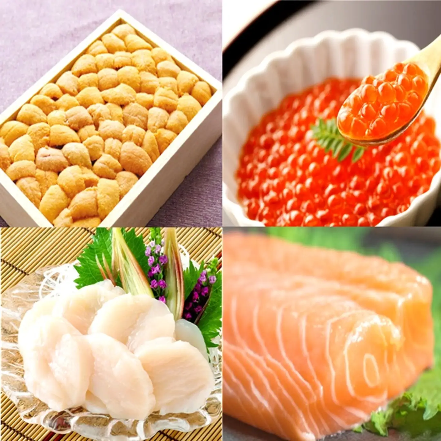 エゾバフンウニバラ130g×1折、いくら醤油漬け(鱒卵)100g×1P、お刺身ホタテ貝柱300g×1P、お刺身サーモン300g～500g(1～3本)[11月下旬以降発送] E-40035