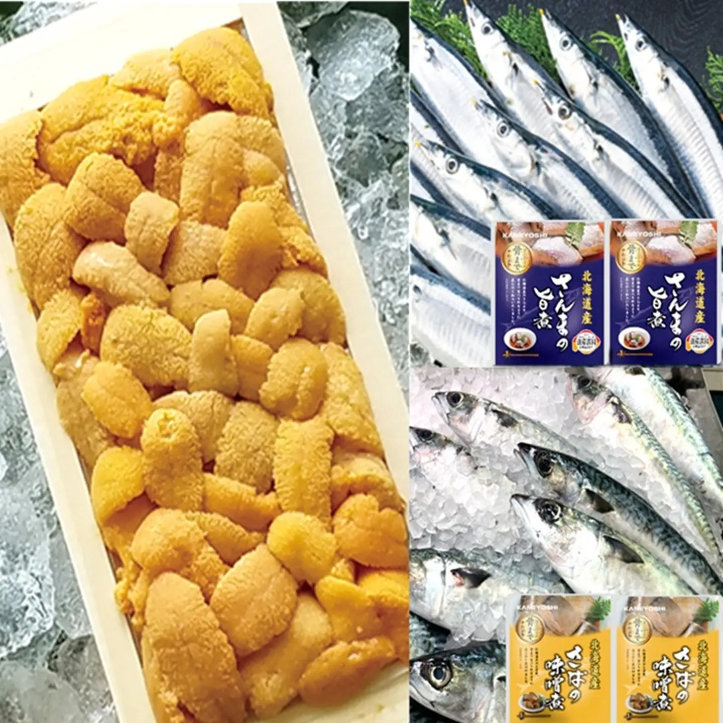 エゾバフンウニ約60g～70g×1折・さんま旨煮×2P・さば味噌煮×2P[10月下旬以降発送] A-71054