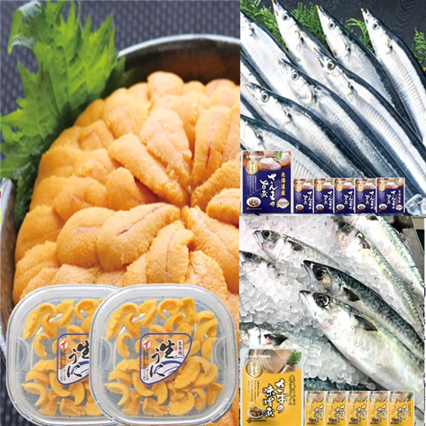 エゾバフンウニ塩水パック約60g～70g×2P・さんま旨煮×6P・さば味噌煮×6P[10月下旬以降発送] B-71030