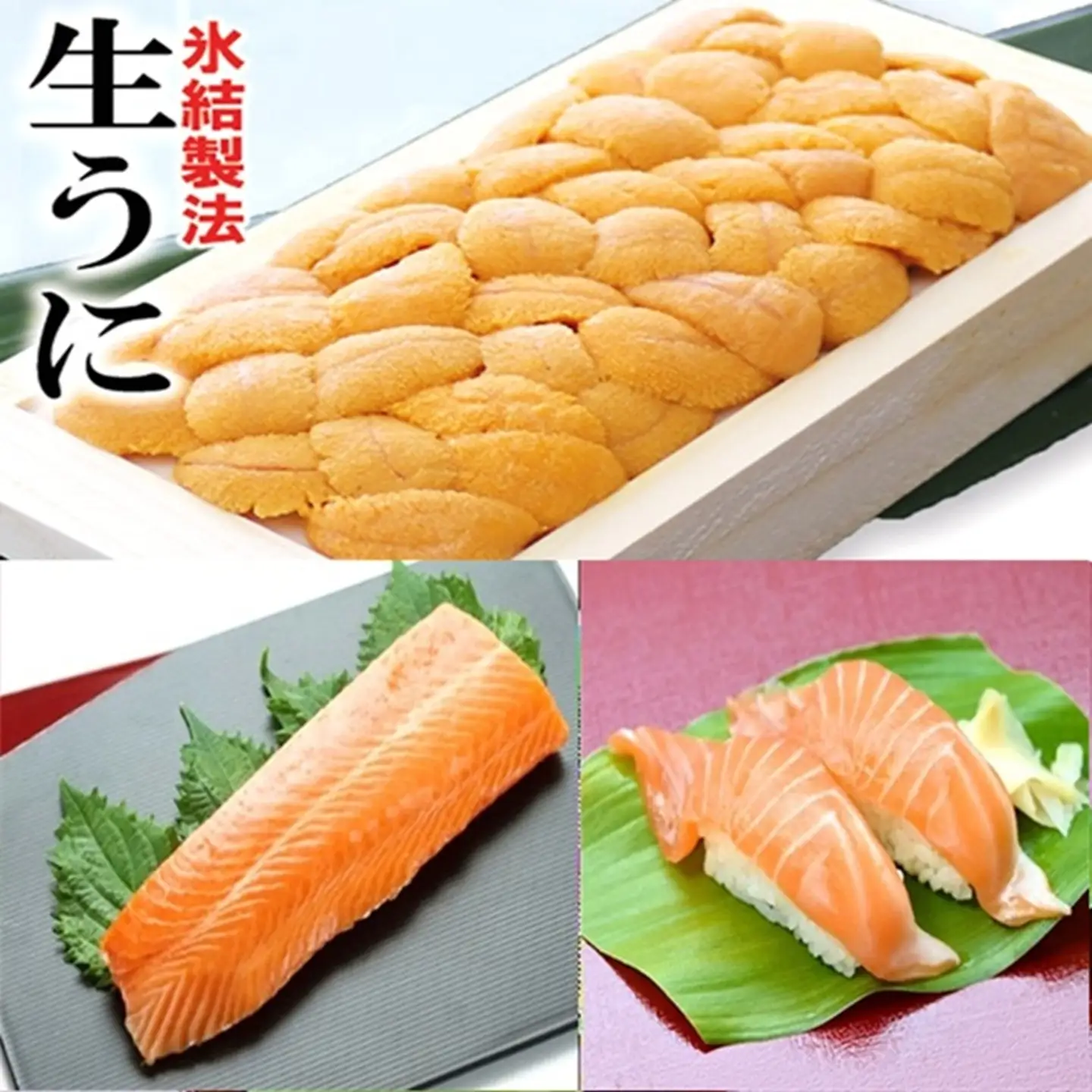 冷凍エゾバフンウニ約100g×1折(赤系)・お刺身サーモン300g～500g(1～3本)[11月上旬以降発送] C-71031