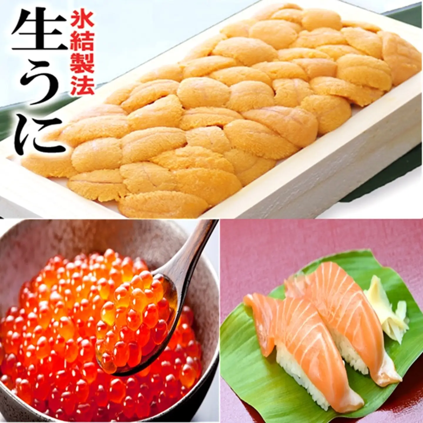 冷凍エゾバフンウニ100g×1折(赤系)、いくら醤油漬け(鱒卵)100g×1P、お刺身サーモン300g～500g(1～3本)[11月中旬以降発送] D-71067