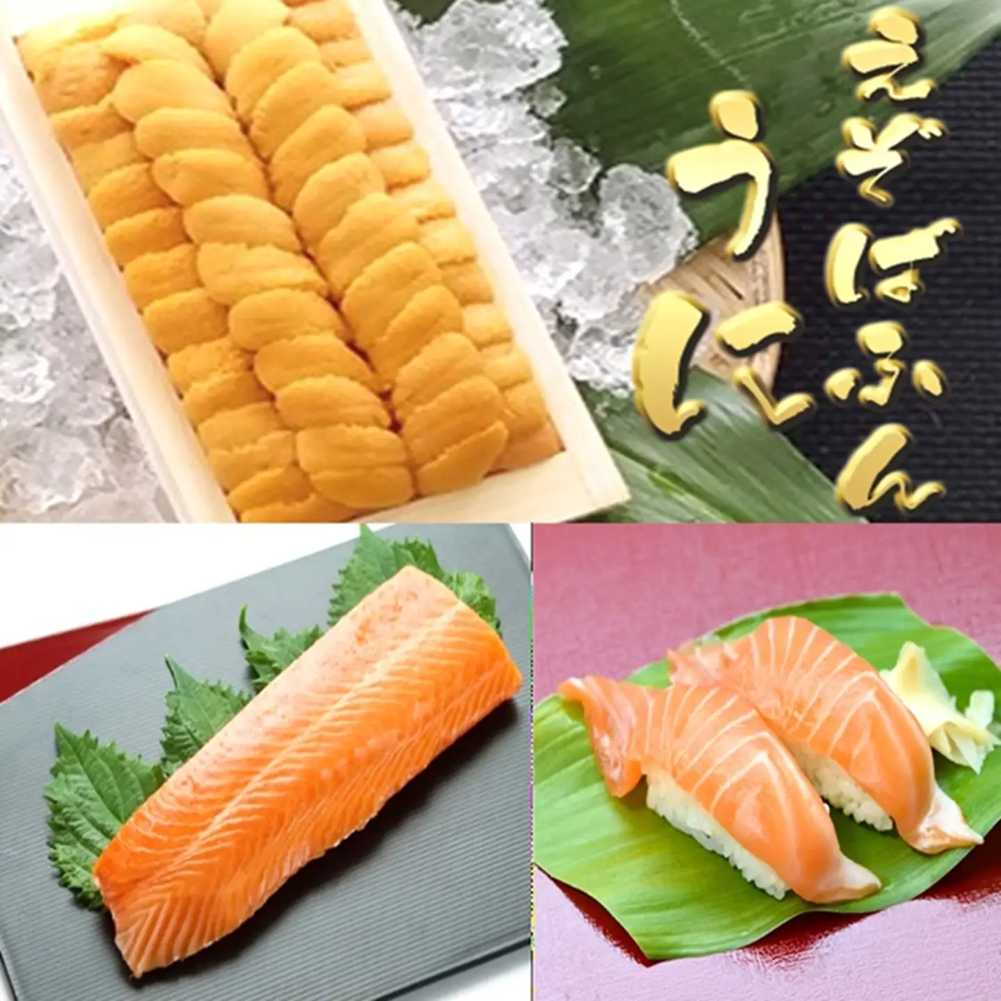 エゾバフンウニ約140g×1折・お刺身サーモン300g～500g(1～3本)[11月下旬以降発送] D-71068