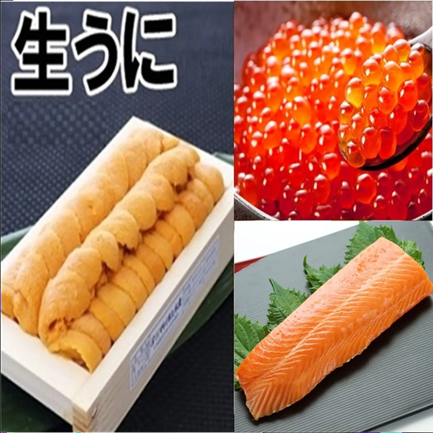 エゾバフンウニ140g×1折、いくら醤油漬け(鱒卵)150g×1P、お刺身サーモン300g～500g(1～3本)[11月下旬以降発送] E-71042