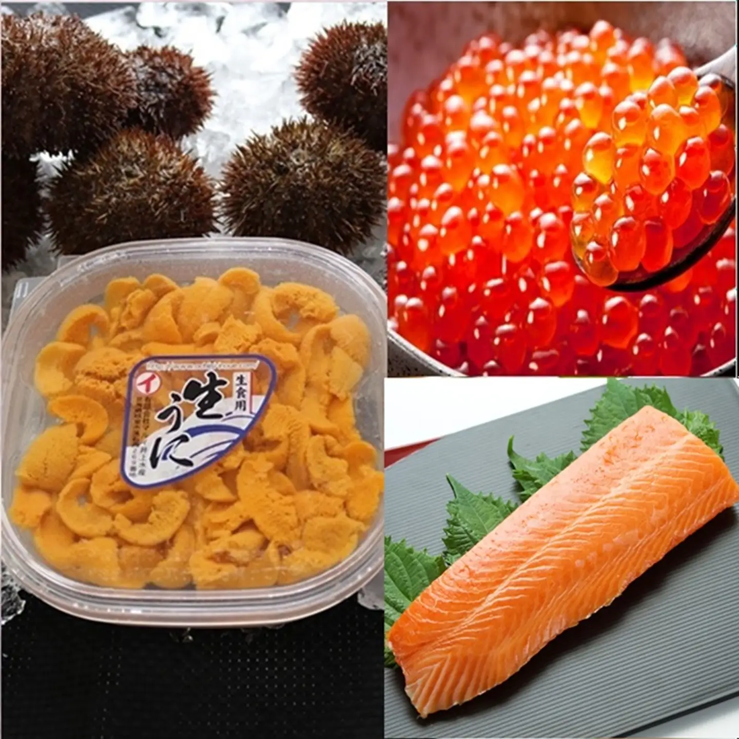 エゾバフンウニ塩水パック150g×1P、いくら醤油漬け(鱒卵)150g×1P、お刺身サーモン300g～500g(1～3本)[11月下旬以降発送] E-71043