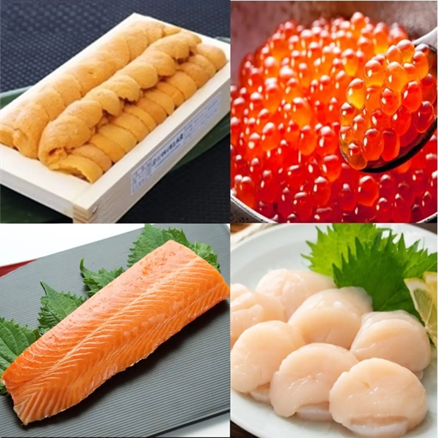 エゾバフンウニ100g×1折、いくら醤油漬け(鱒卵)100g×1P、お刺身ホタテ貝柱300g×1P、お刺身サーモン300g～500g(1～3本)[11月下旬以降発送] E-71044