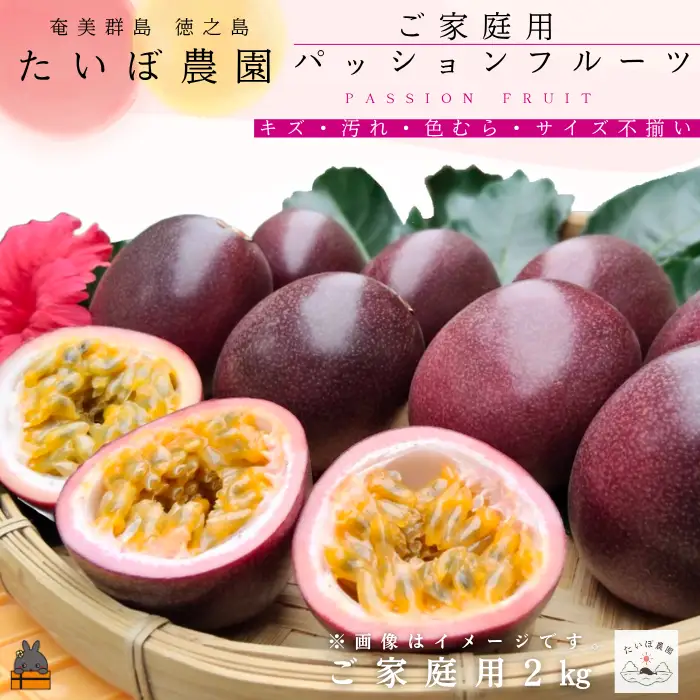 ≪今が旬！≫ 　徳之島 たいぼ農園さんのご家庭用パッションフルーツ（2㎏） フルーツ 果物