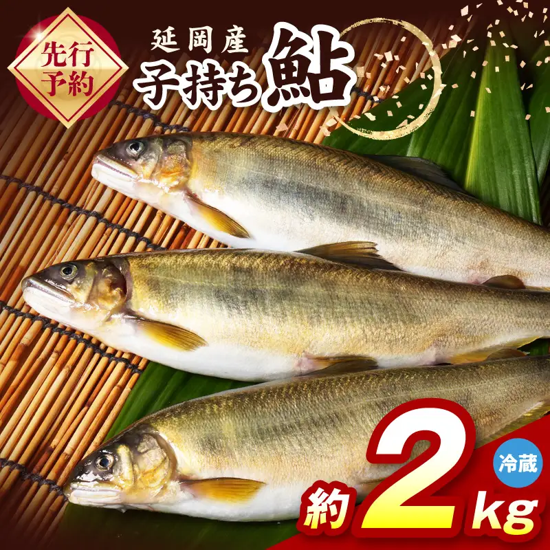 【先行予約】2026年10月下旬より発送開始【冷蔵】子持ち鮎約2kg N070-YB728-1