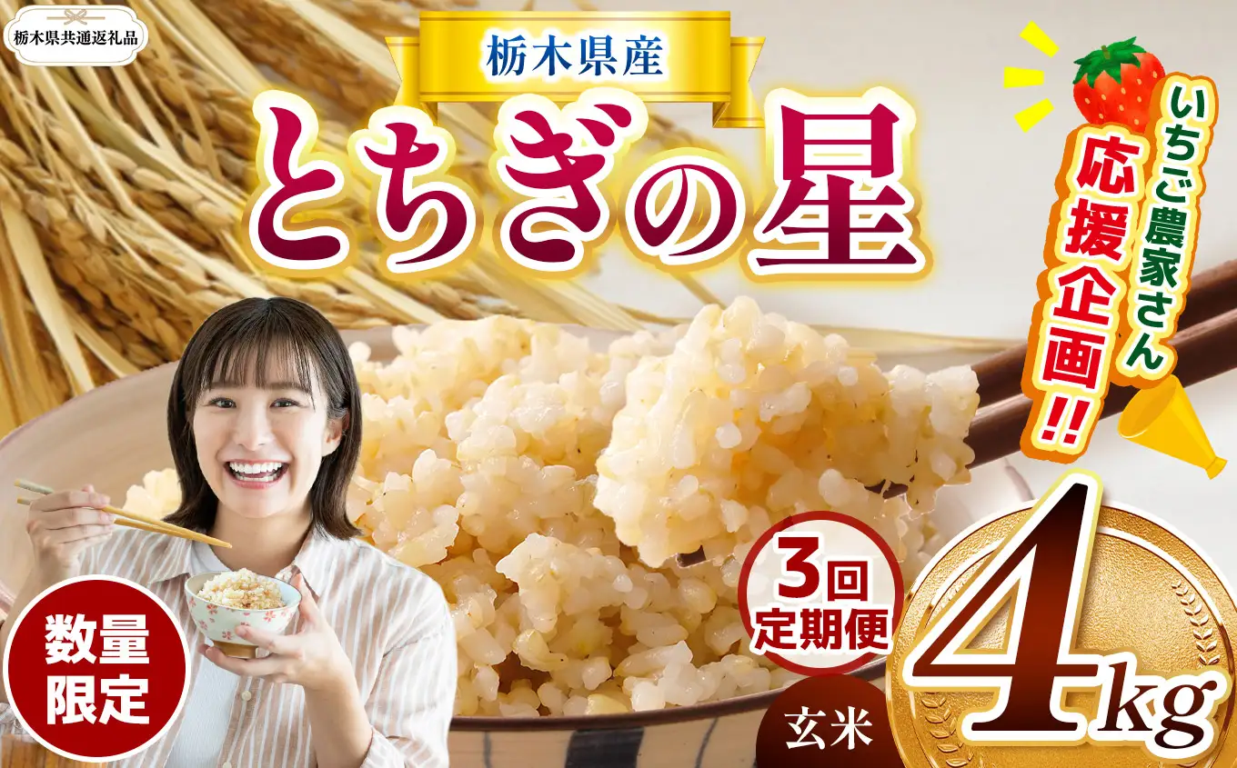 先行予約【定期３回】【令和8年度産】栃木県産とちぎの星 4kg | 【栃木県共通返礼品】 
