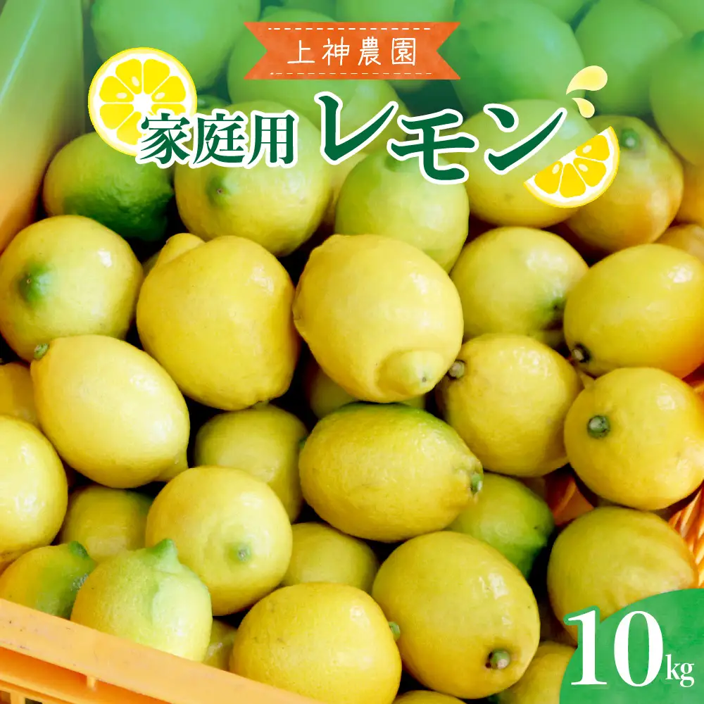 【先行受付】【2026年11月～発送】上神農園 家庭用 広島産 レモン 約10kg 