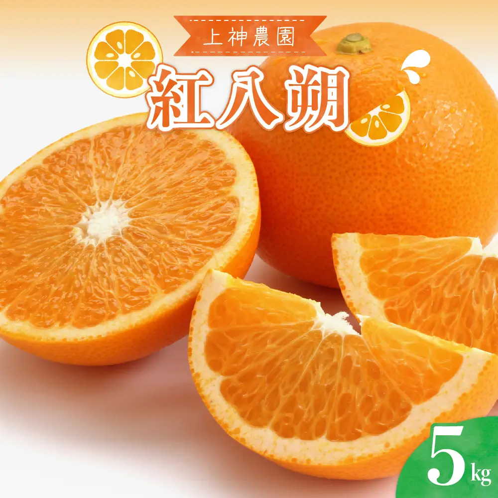 【先行受付】【2027年3月上旬～発送】上神農園の紅八朔 約5kg 柑橘 はっさく 産地直送