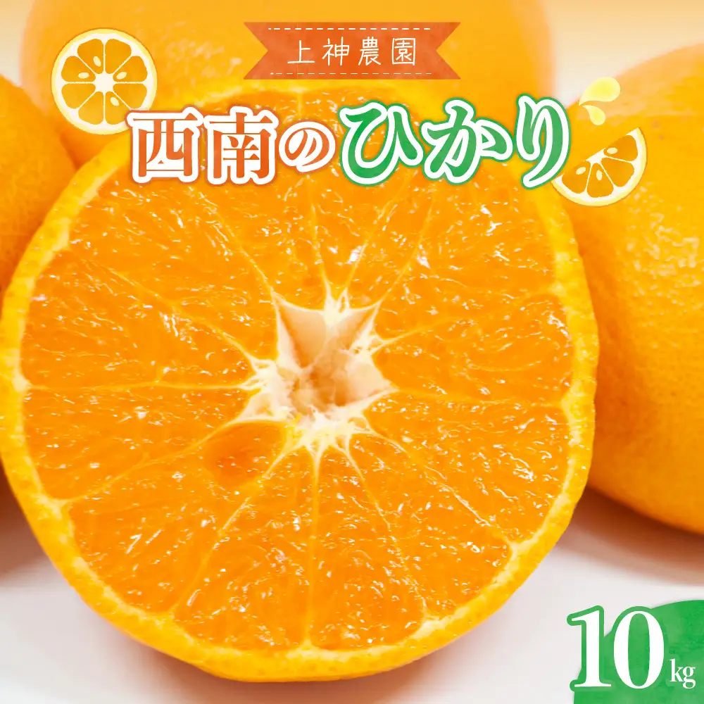 【先行受付】【2026年12月上旬～発送】上神農園の西南のひかり 約10kg