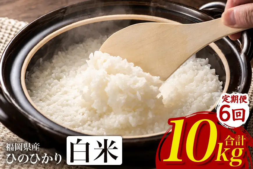 【6回定期便】【ふるさと納税】ひのひかり 米 お米  白米  10kg  10キロ 福岡県産 うきは市 国産 精米 ご飯 ごはん おにぎり お弁当 人気 おすすめ 家庭用 送料無料 新米 ストック 厳選 農家直送 大容量【JA福岡くるめ にじの耳納の里】