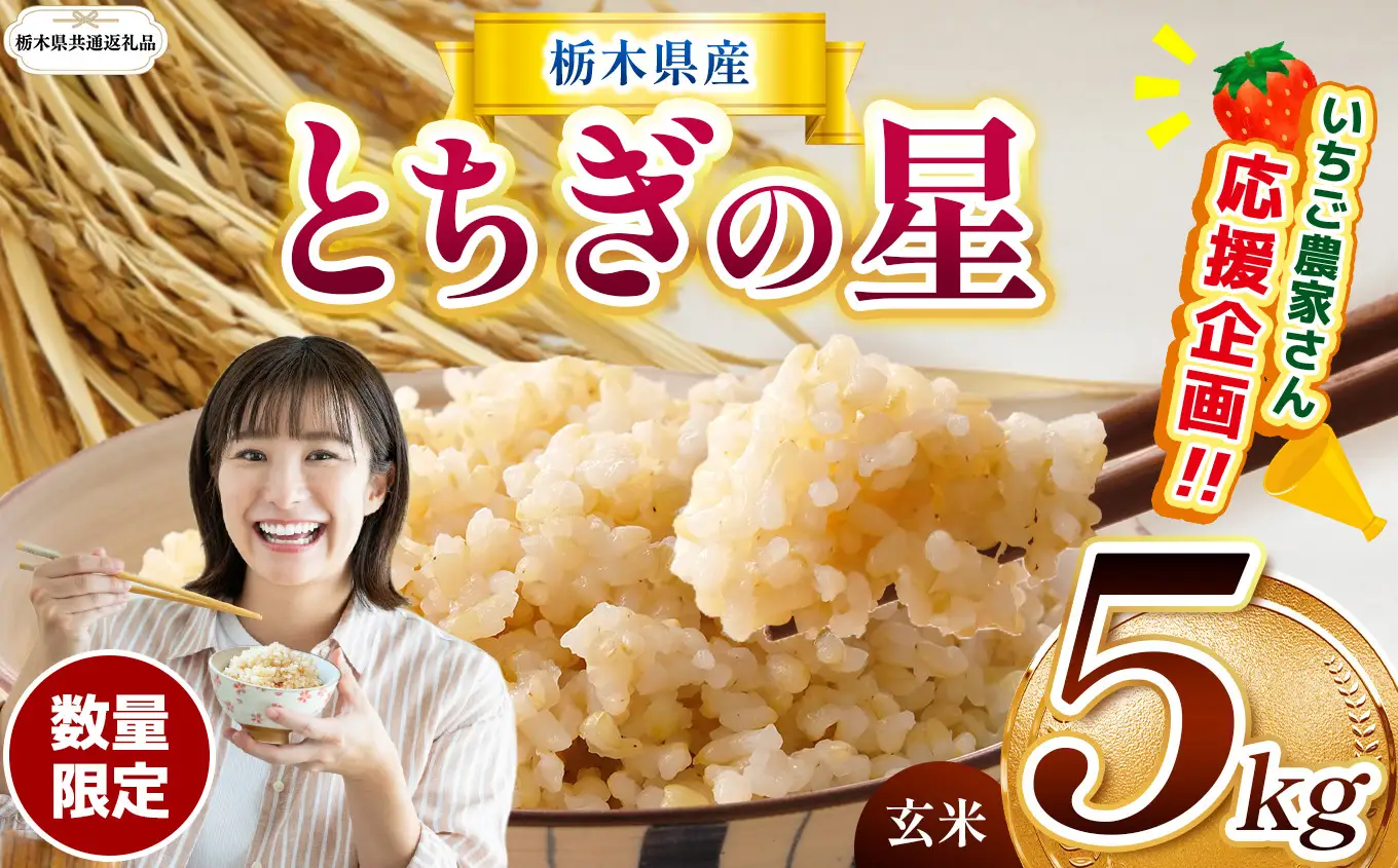 先行予約【令和8年度産】栃木県産とちぎの星 5kg | 【栃木県共通返礼品】 