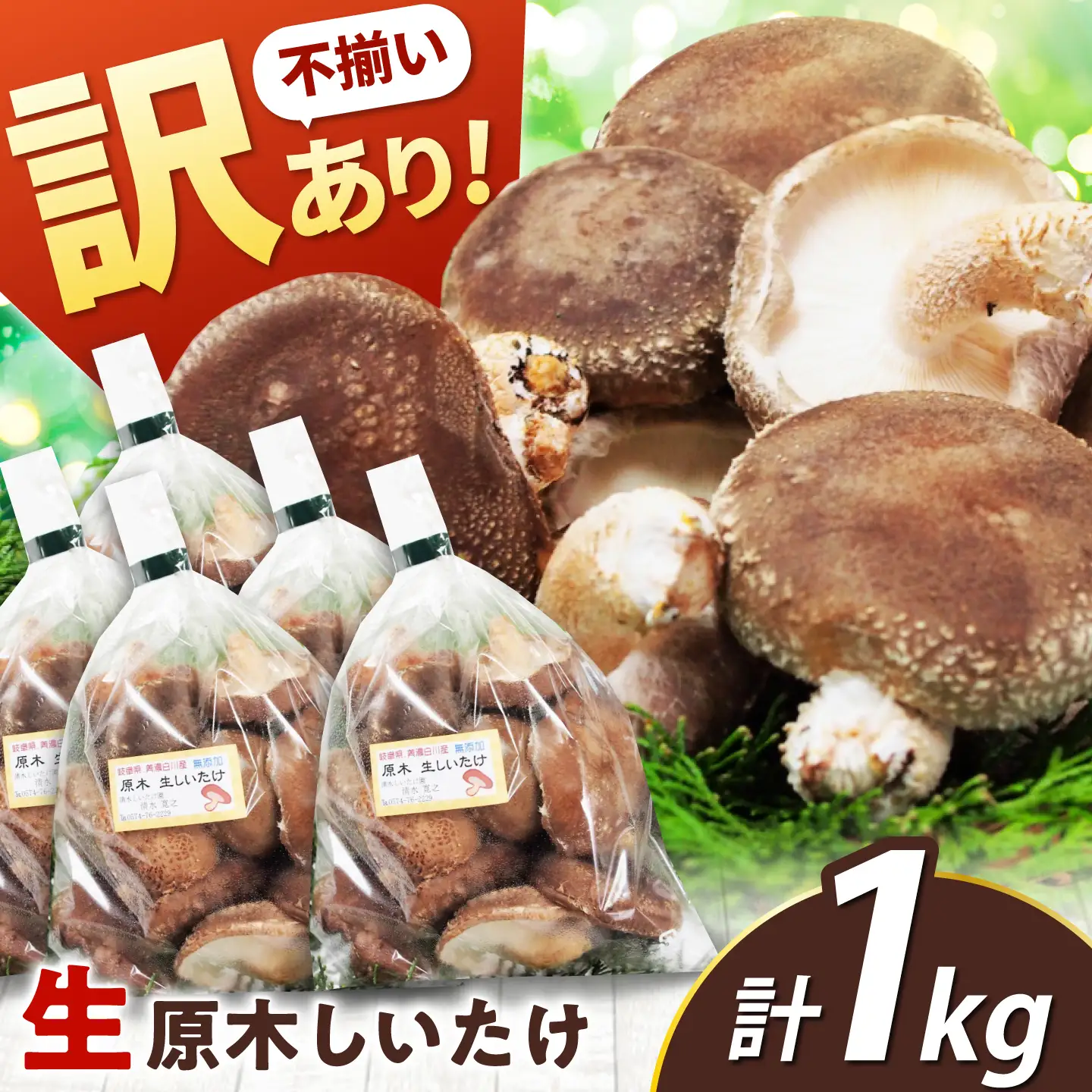 【訳あり】不揃い 原木しいたけ 1kg（200g×5袋）清水しいたけ園[AWAY003]訳あり椎茸