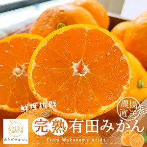 【先行予約】完熟 有田みかん 秀優 1kg+200g【12月発送】※北海道・沖縄・その他離島地域は発送不可 / 温州みかん ミカン 柑橘 甘い フルーツ 果物 和歌山【ard004-noen-1-12】
