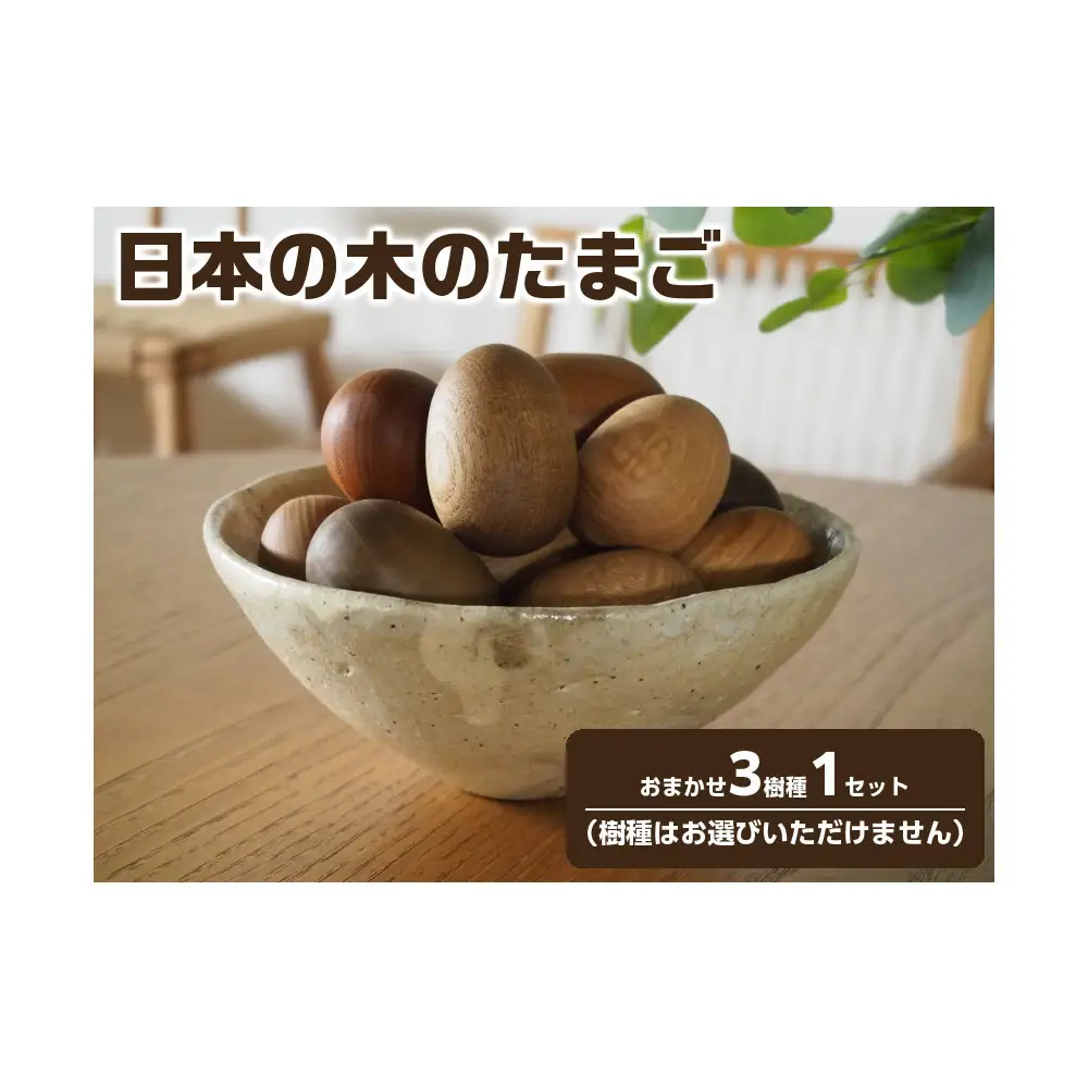 日本の木のたまご おまかせ3樹種1セット【UMEBACHI FURNITURE】