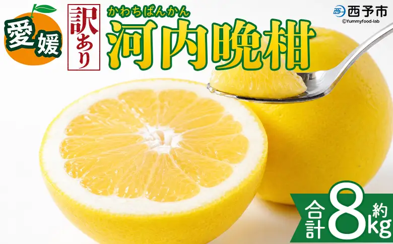 ＜【訳あり】愛媛県産 河内晩柑 約8kg＞『2026年4月上旬～8月下旬迄に順次発送予定』わけあり 訳アリ みずみずしい 和製グレープフルーツ かわちばんかん みかん 蜜柑 果物 くだもの フルーツ ミカン 愛媛 国産 特産品 株式会社三代目みかん職人 愛媛県 西予市【冷蔵】OSM0001