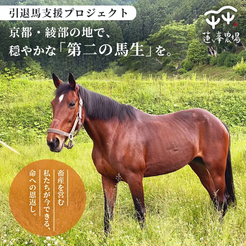 引退馬 飼育支援：寄付金額300,000円（返礼品なし）