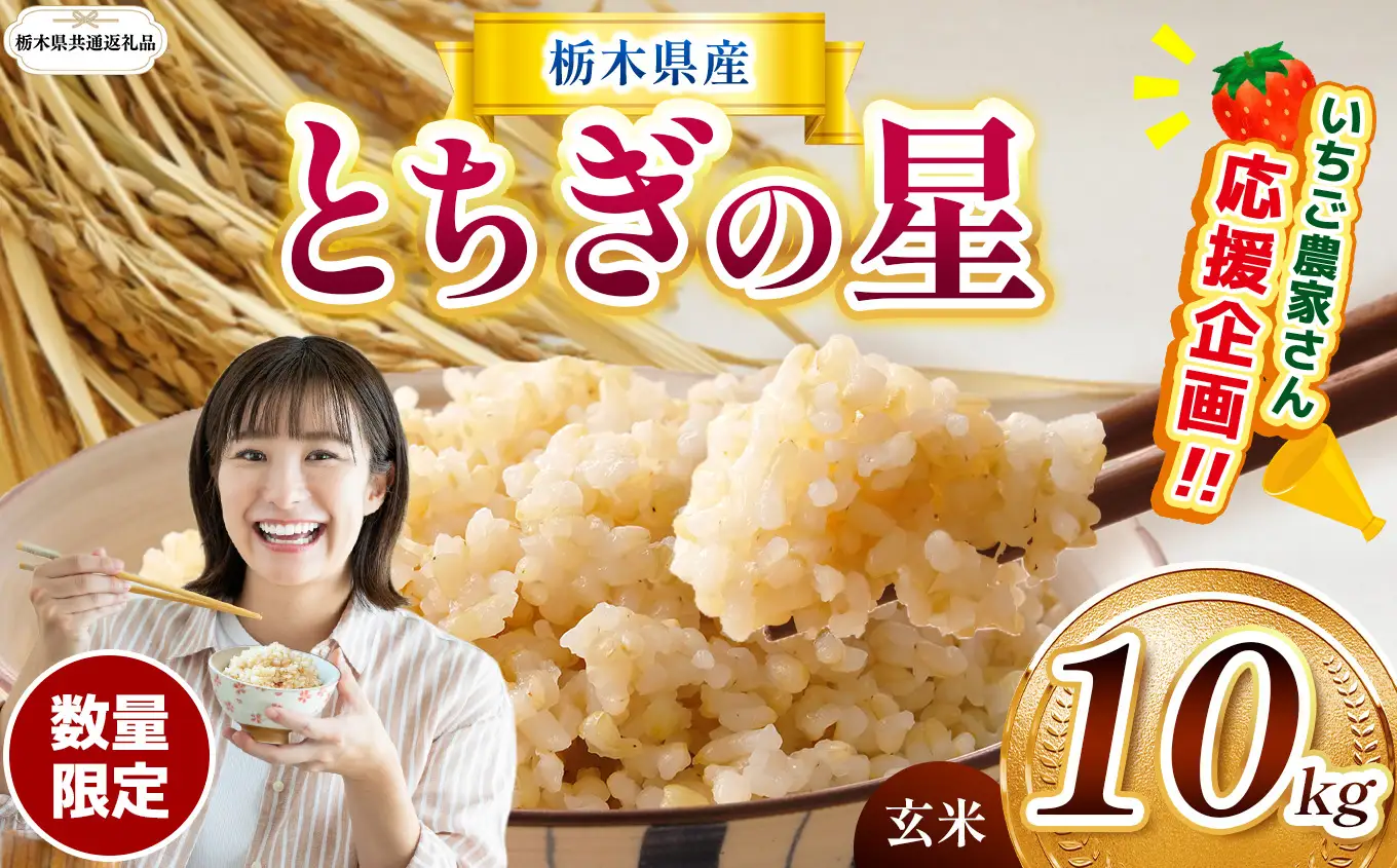 先行予約【令和8年度産】栃木県産とちぎの星 10kg | 【栃木県共通返礼品】 