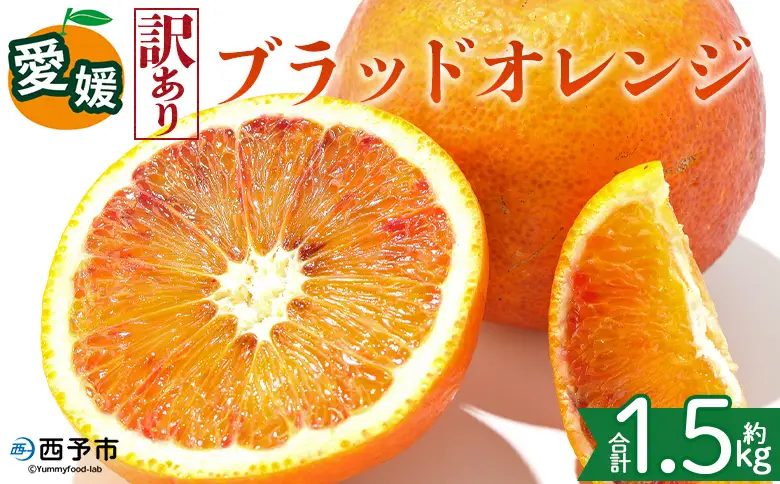 ＜【訳あり】愛媛県産 ブラッドオレンジ 約1.5kg＞『2027年2月下旬～3月下旬迄順次発送予定』わけあり 訳アリ 果汁 ジューシー みかん 蜜柑 果物 くだもの フルーツ ミカン 果汁 国産 特産品 株式会社三代目みかん職人 愛媛 西予市【冷蔵】OSM0005