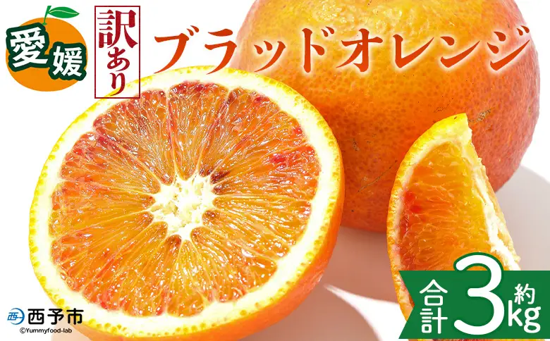 ＜【訳あり】愛媛県産 ブラッドオレンジ 約3kg＞『2027年2月下旬～3月下旬迄順次発送予定』わけあり 訳アリ 果汁 ジューシー みかん 蜜柑 果物 くだもの フルーツ ミカン 果汁 国産 特産品 株式会社三代目みかん職人 愛媛 西予市【冷蔵】OSM0022
