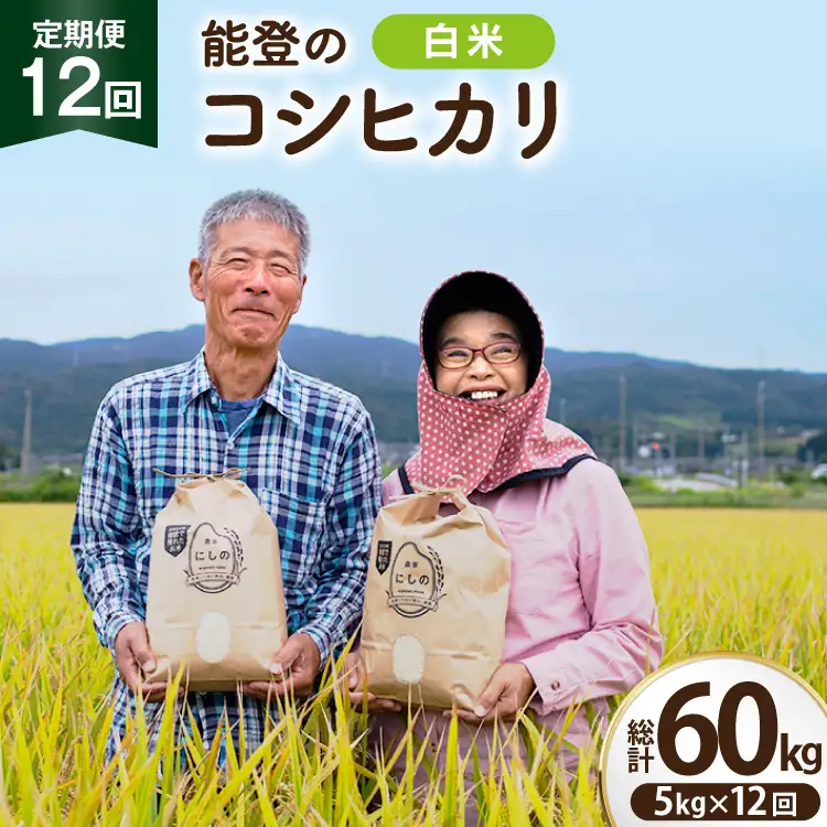 【期間限定発送】 米 定期便 コシヒカリ 白米 5kg 12回 総計 60kg