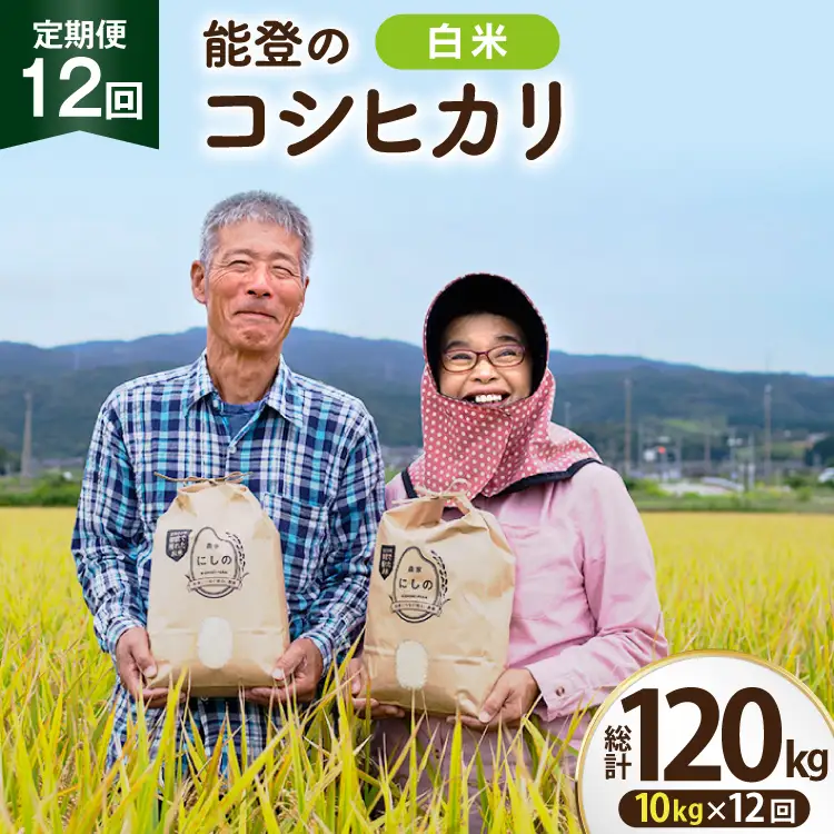 【期間限定発送】 米 定期便 コシヒカリ 白米 10kg 12回 総計 120kg