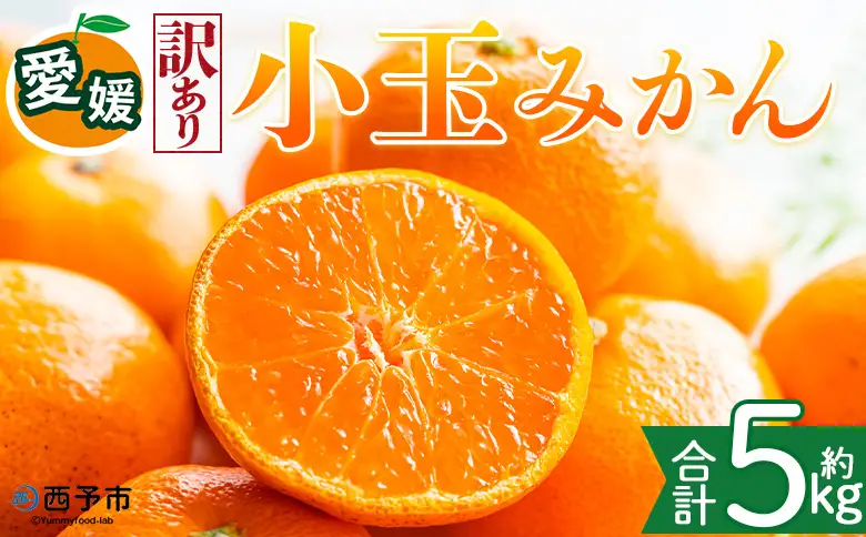 ＜【訳あり】愛媛県産 小玉みかん 約5kg＞『2026年11月上旬～1月下旬迄順次発送予定』 わけあり 訳アリ 濃厚 甘い 小さい こだま みかん 蜜柑 訳あり 果物 くだもの フルーツ ミカン 果汁 国産 特産品 株式会社三代目みかん職人 愛媛 西予市【常温】OSM0025