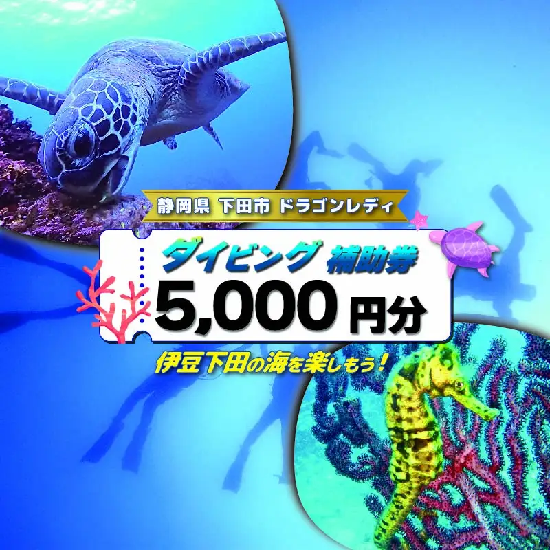 ダイビング 補助券 5,000円分 ダイビング 伊豆 下田