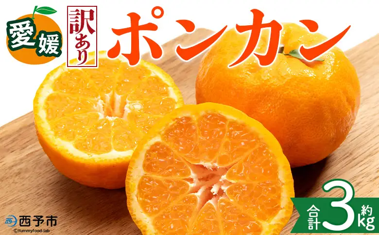 ＜【訳あり】愛媛県産 ポンカン 約3kg＞『2027年1月上旬～3月上旬迄順次発送予定』 わけあり 訳アリ 果肉 ぽんかん ジューシー みかん 蜜柑 果物 くだもの フルーツ ミカン 果汁 国産 特産品 株式会社三代目みかん職人 愛媛 西予市【常温】OSM0028