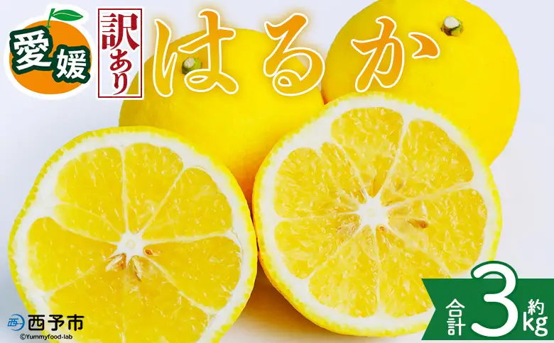 ＜【訳あり】愛媛県産 はるか 約3kg＞『2027年2月中旬～3月上旬迄順次発送予定』わけあり 訳アリ 果肉 ハルカ 産地直送 みかん 蜜柑 訳あり 果物 くだもの フルーツ ミカン 果汁 国産 特産品 株式会社三代目みかん職人 愛媛 西予市【常温】OSM0030
