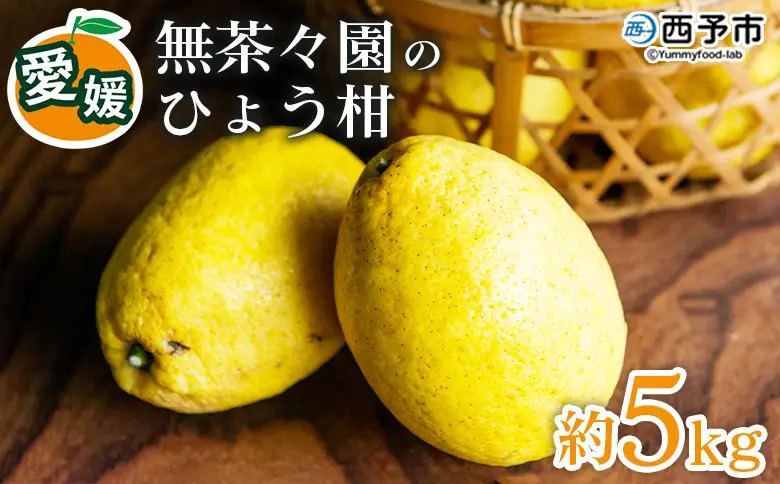 ＜無茶々園のひょう柑 約5kg＞ 【先行予約】果物 みかん ミカン 蜜柑 柑橘 フルーツ ひょうかん 弓削瓢柑 特産品 愛媛県 西予市【常温】『2027年4月～5月上旬迄に順次出荷予定』AMC0067