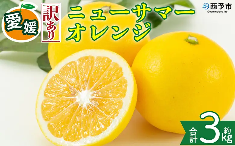 ＜【訳あり】愛媛県産 ニューサマーオレンジ 約3kg＞『2027年4月上旬～5月中旬迄順次発送予定』 わけあり 訳アリ ジューシー 日向夏 みかん 蜜柑 果物 くだもの フルーツ ミカン 果汁 国産 特産品 株式会社三代目みかん職人 愛媛 西予市【冷蔵】OSM0031