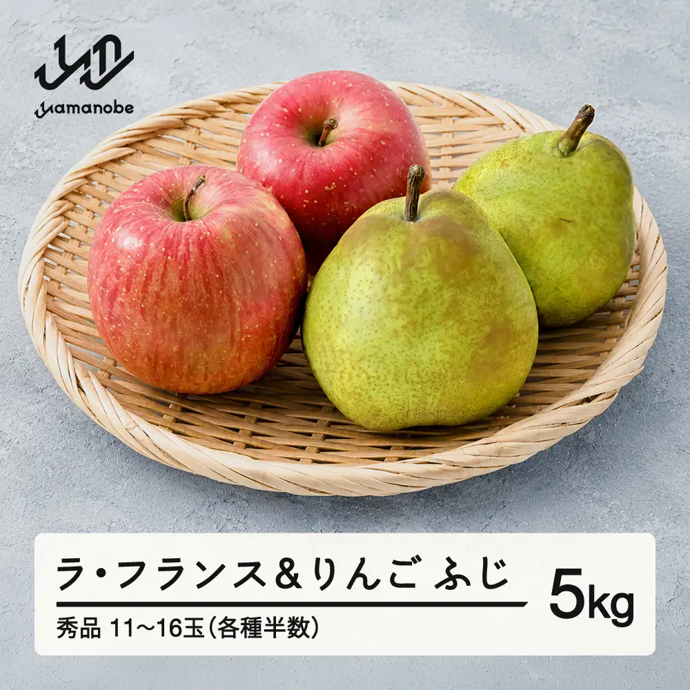 《先行予約》2026年 山形県産 令和8年 ラ・フランス りんご 5kg  ※沖縄・離島への配送不可 ts-fslro5
