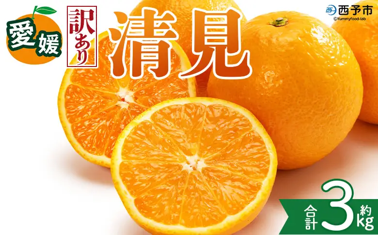 ＜【訳あり】愛媛県産 清見 約3kg＞『2027年2月上旬～4月下旬迄順次発送予定』 わけあり ジューシー 果肉 訳アリ きよみ みかん 柑橘 蜜柑 果物 くだもの フルーツ ミカン 果汁 国産 特産品 株式会社三代目みかん職人 愛媛 西予市【常温】OSM0033