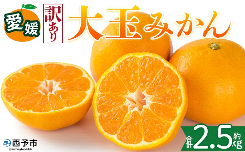 ＜【訳あり】愛媛県産 大玉みかん 約2.5kg＞『2026年11月上旬～1月下旬迄順次発送予定』わけあり 訳アリ 大きい おおだま みかん 蜜柑 果物 くだもの フルーツ ミカン 果汁 国産 特産品 株式会社三代目みかん職人 愛媛 西予市【常温】OSM0012